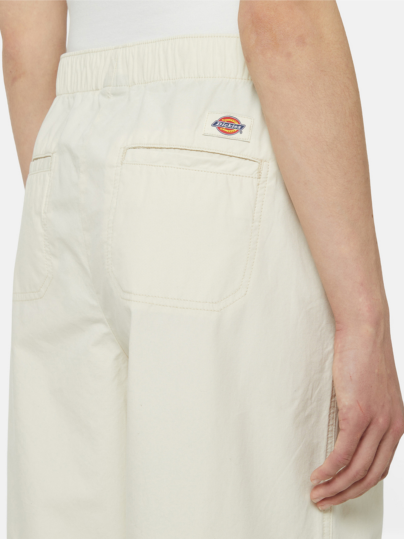 Карго Dickies Fishersville модель DK0A4YV4F901 Фото