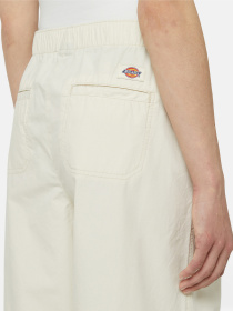 Карго Dickies Fishersville модель DK0A4YV4F901 Фото