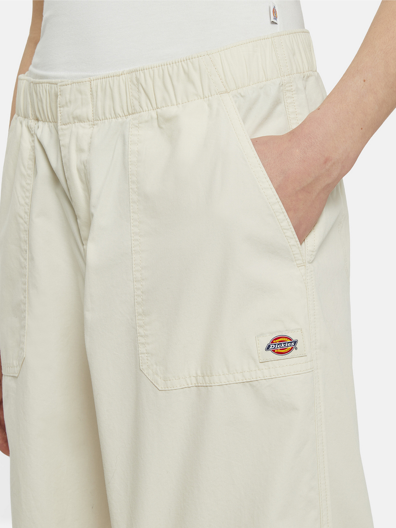 Карго Dickies Fishersville модель DK0A4YV4F901 Карго Dickies Fishersville модель DK0A4YV4F901 Фото