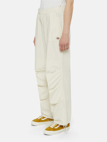 Карго Dickies Fishersville модель DK0A4YV4F901 Карго Dickies Fishersville модель DK0A4YV4F901 Фото