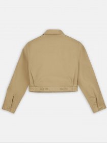 Демисезонная куртка Dickies Lined модель DK0A4XKCKHK1 Фото