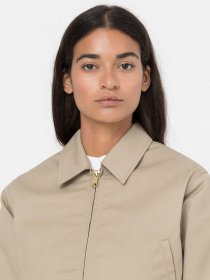 Демісезонна куртка Dickies Lined модель DK0A4XKCKHK1 Фото