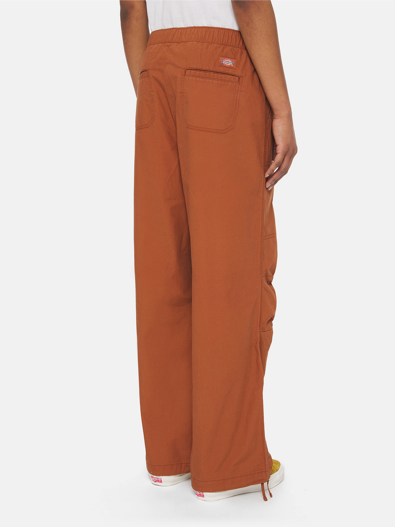 Карго Dickies Fishersville модель DK0A4YV4H161 Фото