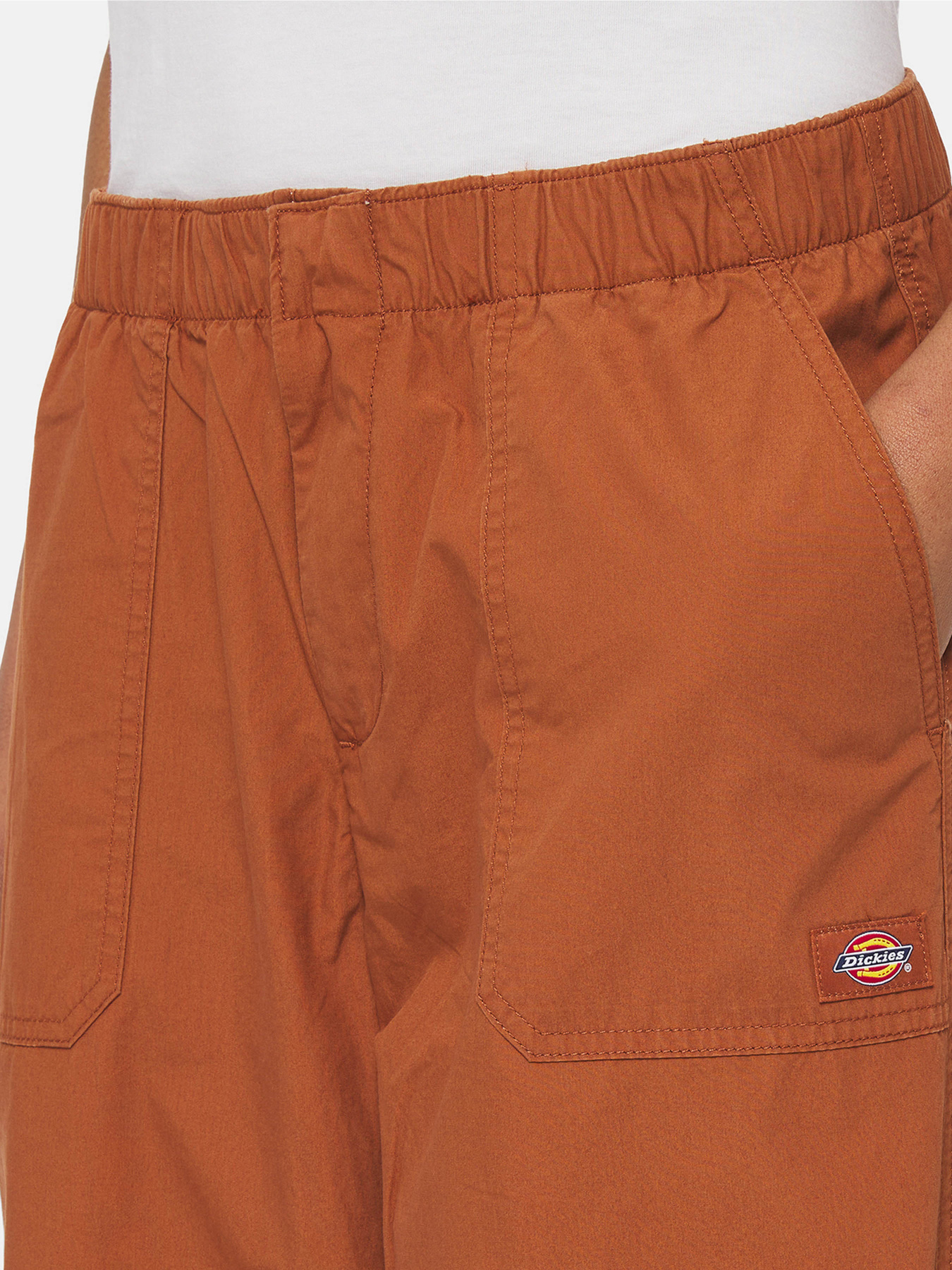 Карго Dickies Fishersville модель DK0A4YV4H161 Фото