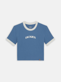 Футболка Dickies Herndon Ringer Ss модель DK0A4YY8H171 Фото