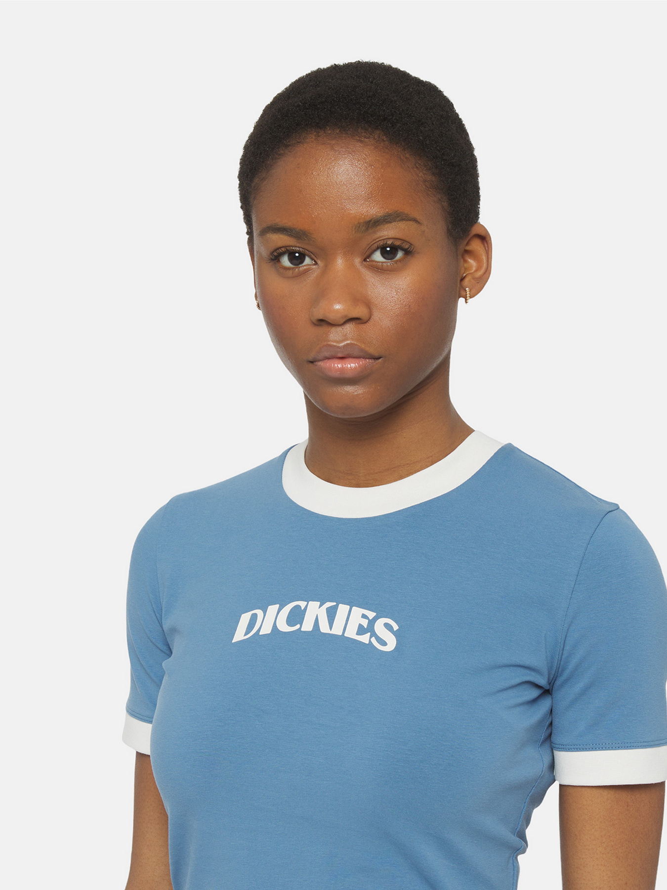 Футболка Dickies Herndon Ringer Ss модель DK0A4YY8H171 Фото