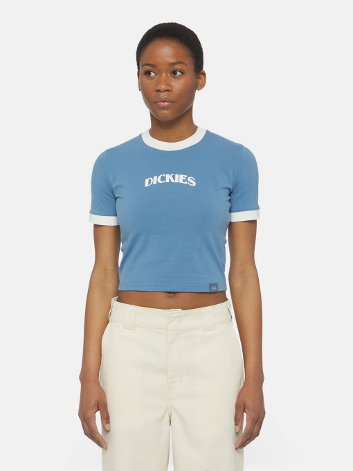 Футболка Dickies Herndon Ringer Ss модель DK0A4YY8H171 Фото