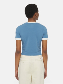 Футболка Dickies Herndon Ringer Ss модель DK0A4YY8H171 Фото