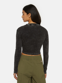 Лонгслив Dickies Neington Ls модель DK0A4YYQH861 Фото