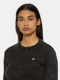 Лонгслив Dickies Neington Ls модель DK0A4YYQH861 Фото