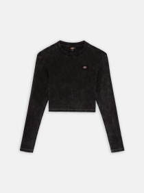 Лонгслив Dickies Neington Ls модель DK0A4YYQH861 Фото