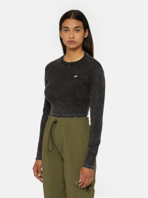 Лонгслів Dickies Neington Ls Модель DK0A4YYQH861 Фото