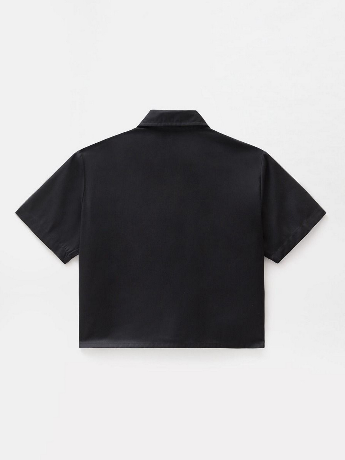 Сорочка повсякденна Dickies Work модель DK0A4XKDBLK1 Фото