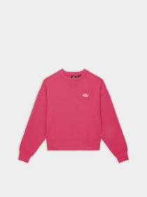 Свитшот Dickies Summerdale модель DK0A4XYXH191 Фото