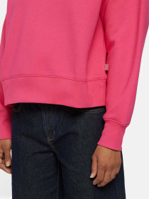 Свитшот Dickies Summerdale модель DK0A4XYXH191 Свитшот Dickies Summerdale модель DK0A4XYXH191 Фото