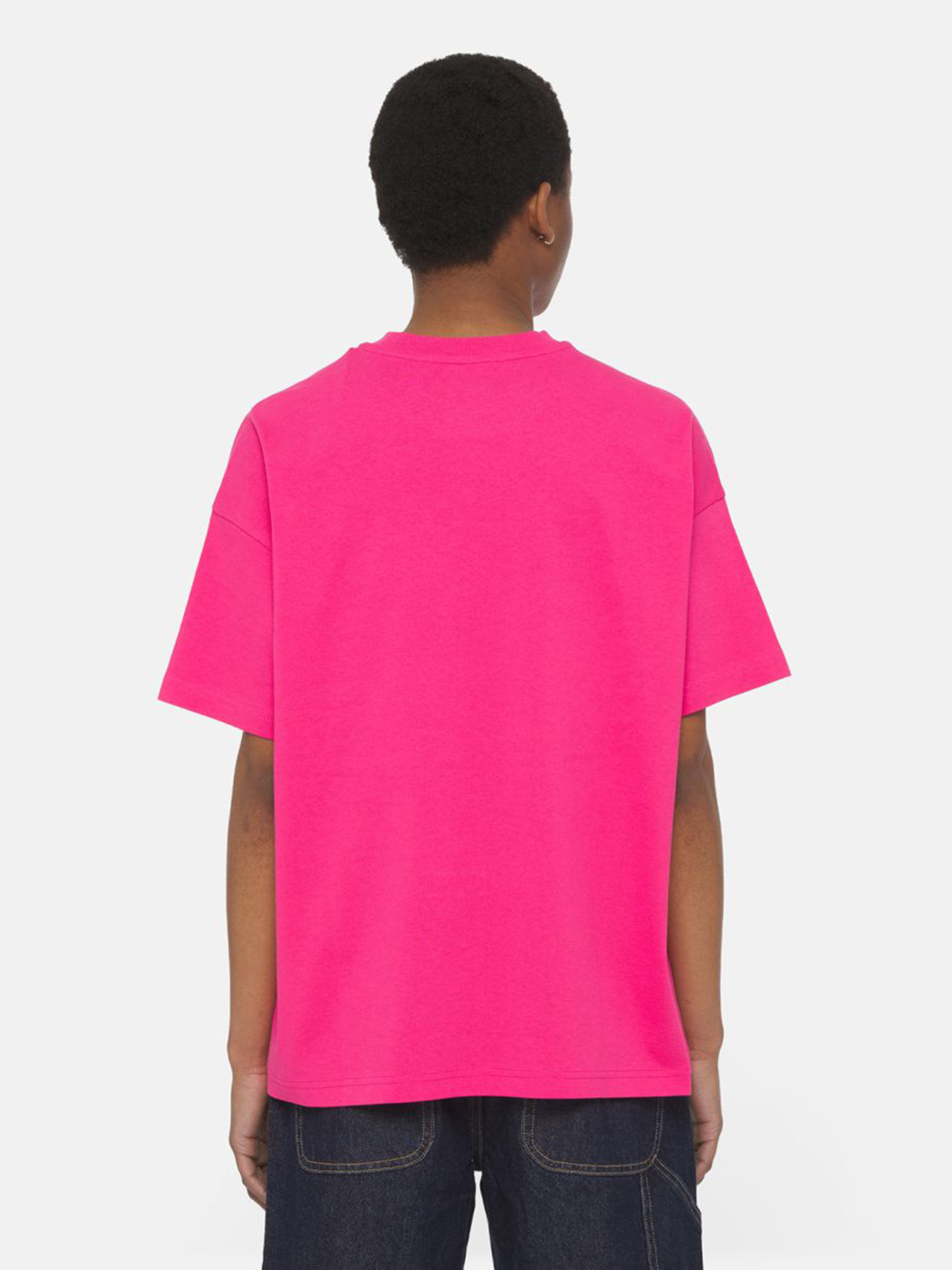 Футболка Dickies Summerdale модель DK0A4Y1BH191 Фото