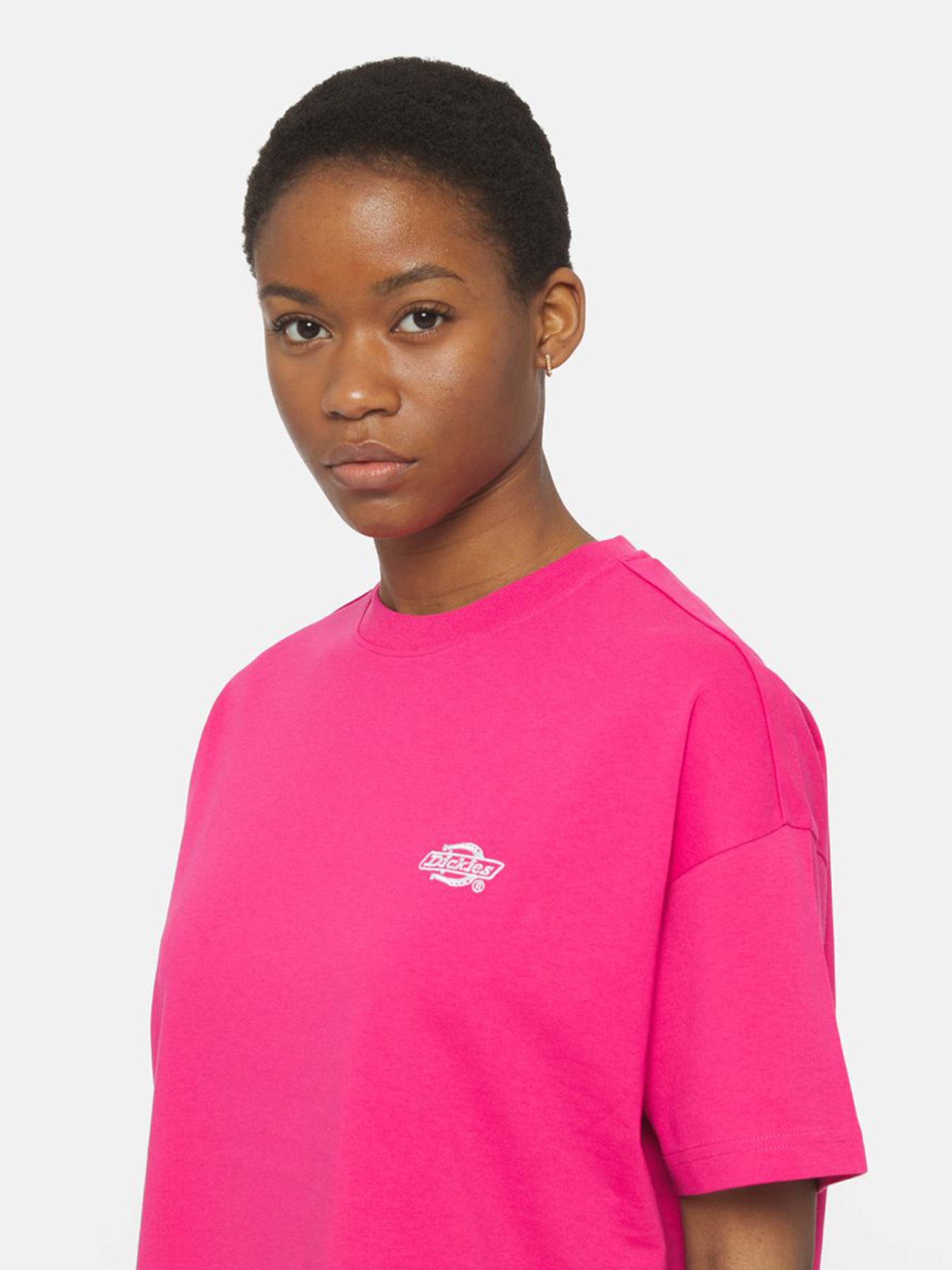 Футболка Dickies Summerdale модель DK0A4Y1BH191 Фото