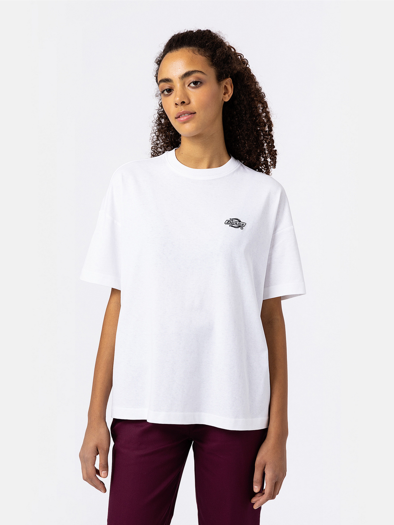 Футболка Dickies Summerdale модель DK0A4Y1BWHX1 Футболка Dickies Summerdale модель DK0A4Y1BWHX1 Фото