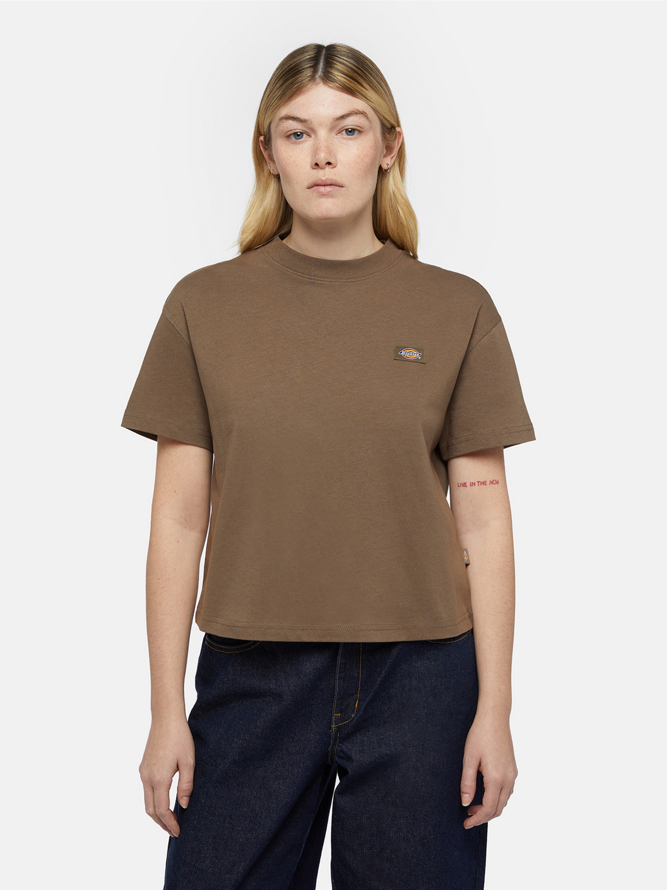 Футболка Dickies Oakport Boxy модель DK0A4Y8LMR11 Фото