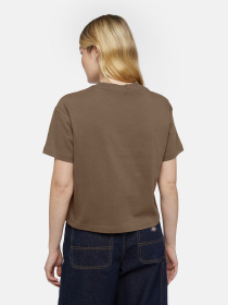 Футболка Dickies Oakport Boxy модель DK0A4Y8LMR11 Фото