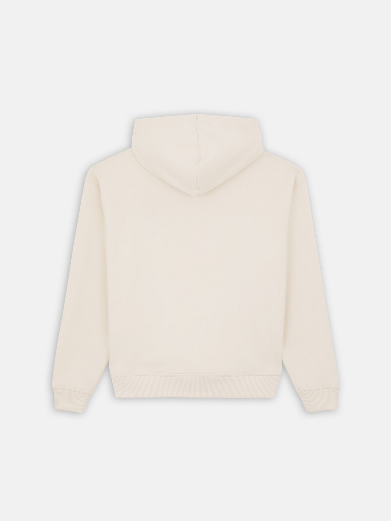 Худі Dickies Clancy модель DK0A4Z2WF901 Фото