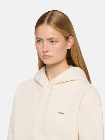 Худі Dickies Clancy модель DK0A4Z2WF901 Фото