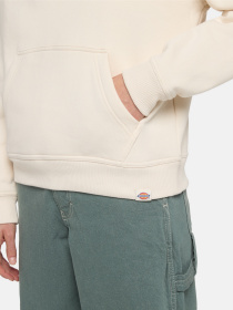 Худі Dickies Clancy модель DK0A4Z2WF901 Фото