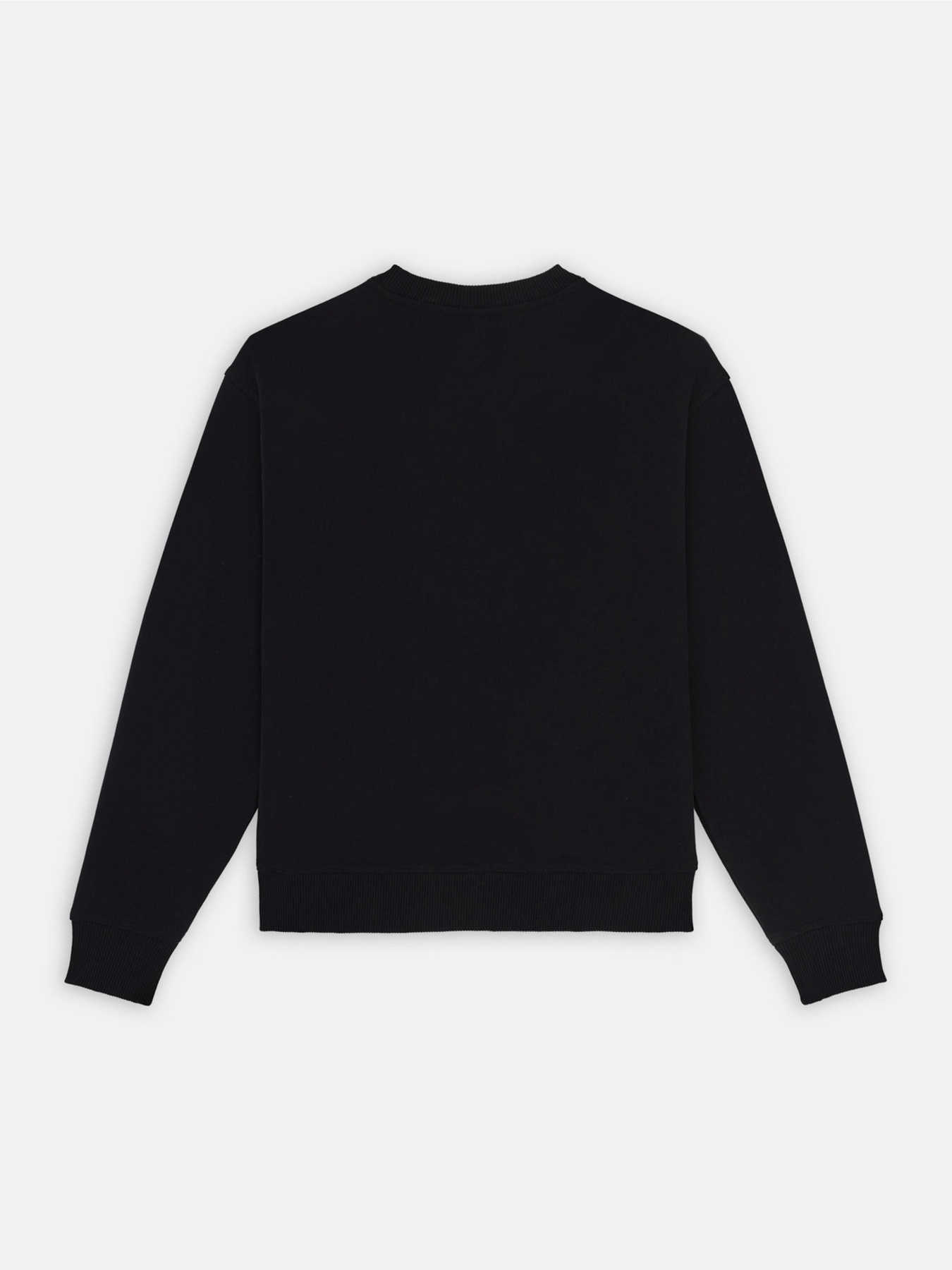 Свитшот Dickies Clancy модель DK0A4Z2XBLK1 Фото