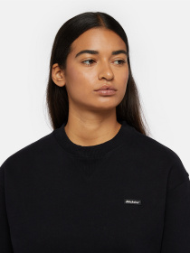 Свитшот Dickies Clancy модель DK0A4Z2XBLK1 Фото