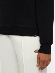 Світшот Dickies Clancy модель DK0A4Z2XBLK1 Фото