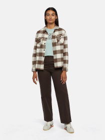 Сорочка Dickies Mushroom модель DK0A4XI2MR11 Фото