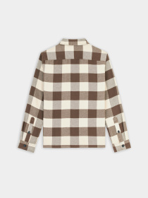 Сорочка Dickies Mushroom модель DK0A4XI2MR11 Фото