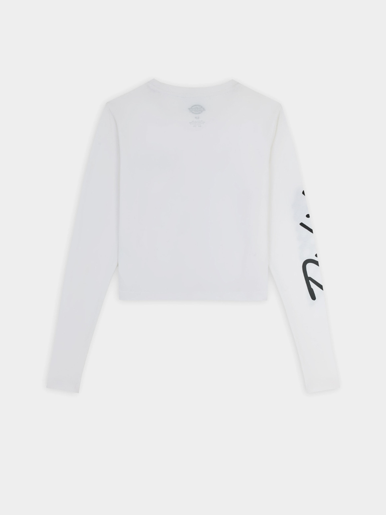 Лонгслив Dickies Globe модель DK0A863O0WH1 Фото