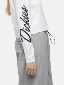 Лонгслив Dickies Globe модель DK0A863O0WH1 Фото