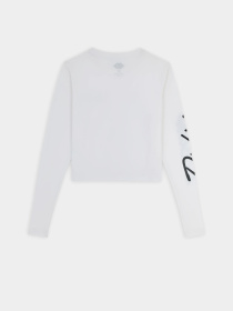 Лонгслив Dickies Globe модель DK0A863O0WH1 Фото