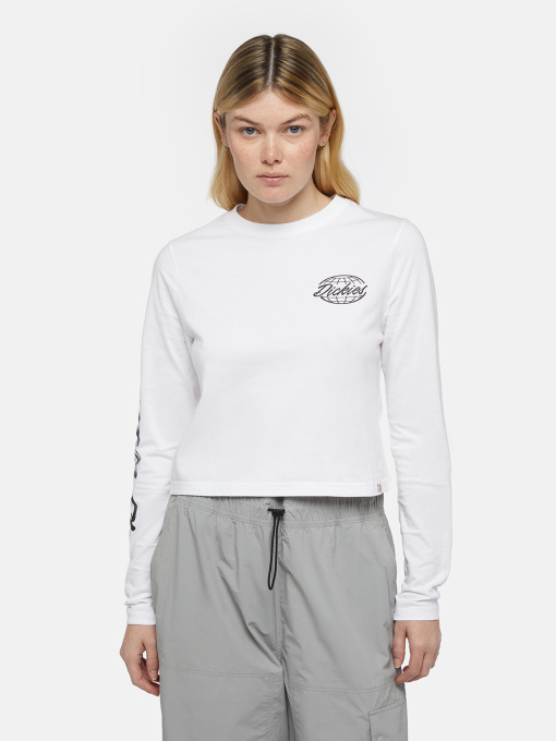 Лонгслив Dickies Globe модель DK0A863O0WH1 Фото