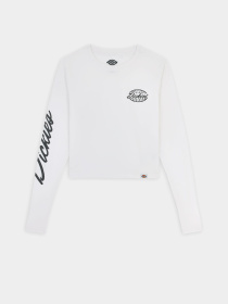 Лонгслив Dickies Globe модель DK0A863O0WH1 Фото