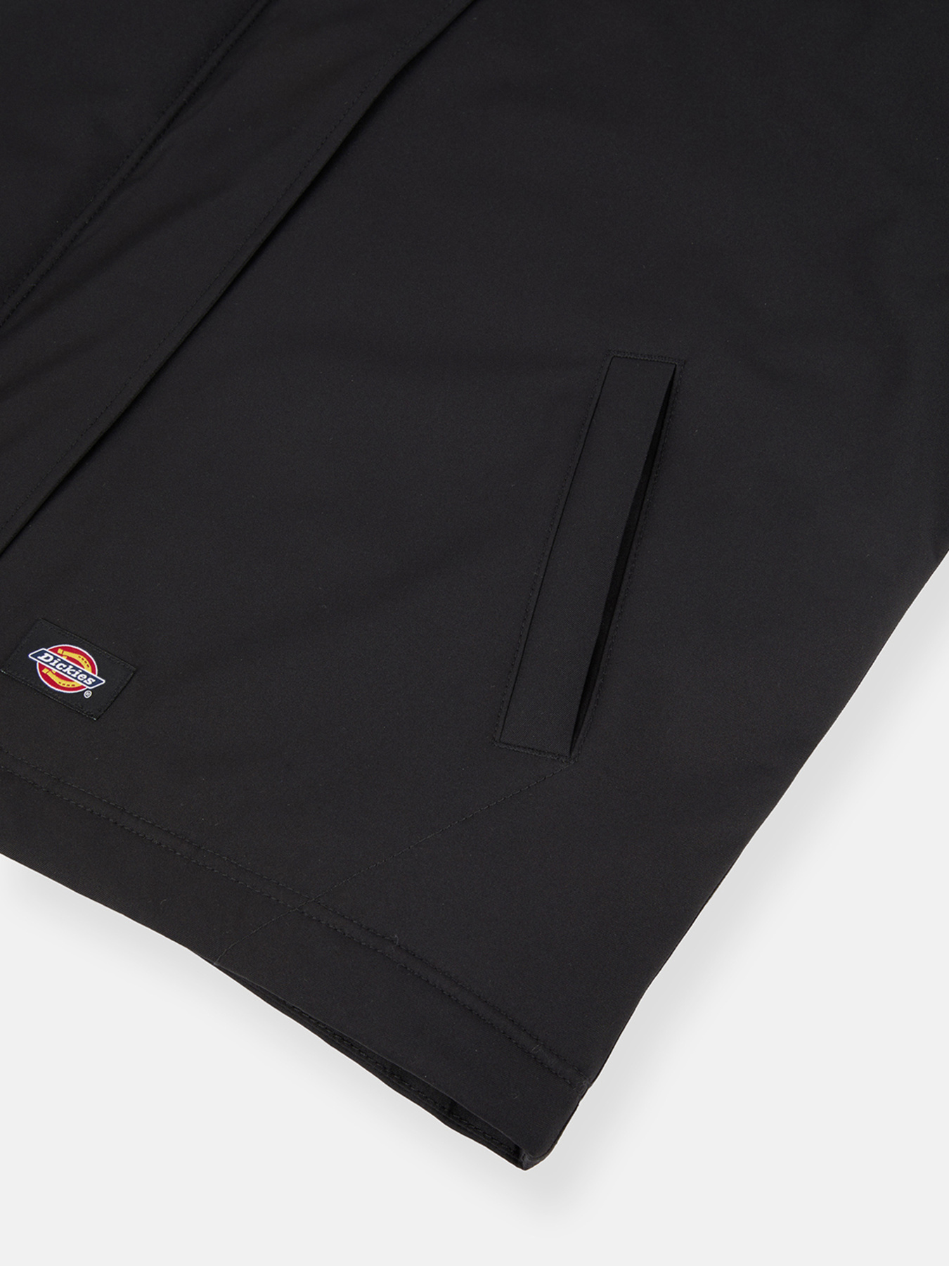 Демісезонна куртка Dickies Plains модель DK0A8643BLK1 Фото