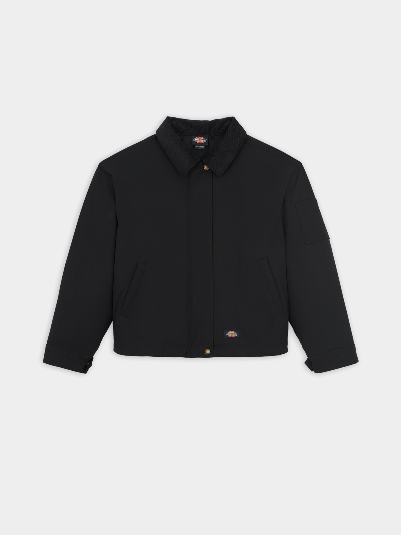 Демісезонна куртка Dickies Plains модель DK0A8643BLK1 Фото