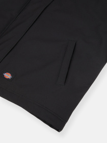 Демісезонна куртка Dickies Plains модель DK0A8643BLK1 Фото