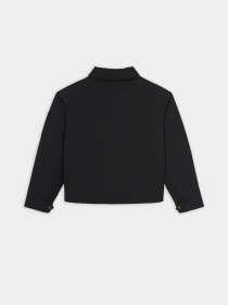 Демісезонна куртка Dickies Plains модель DK0A8643BLK1 Фото