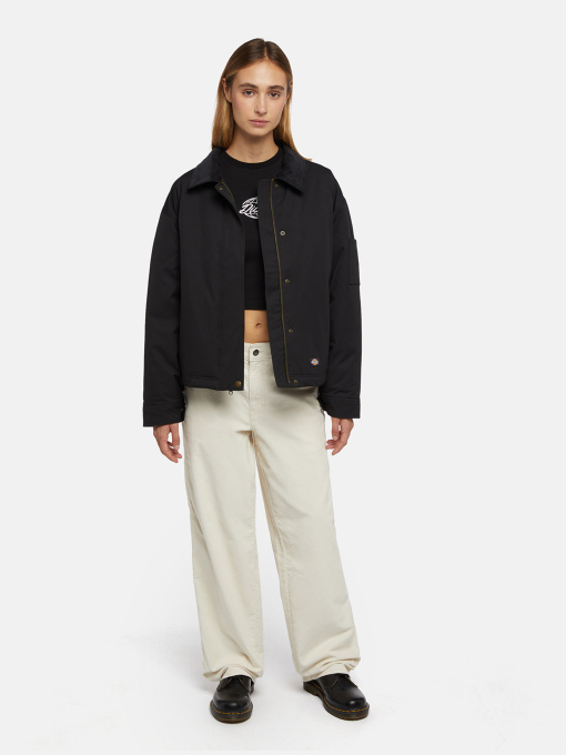 Демисезонная куртка Dickies Plains модель DK0A8643BLK1 Фото