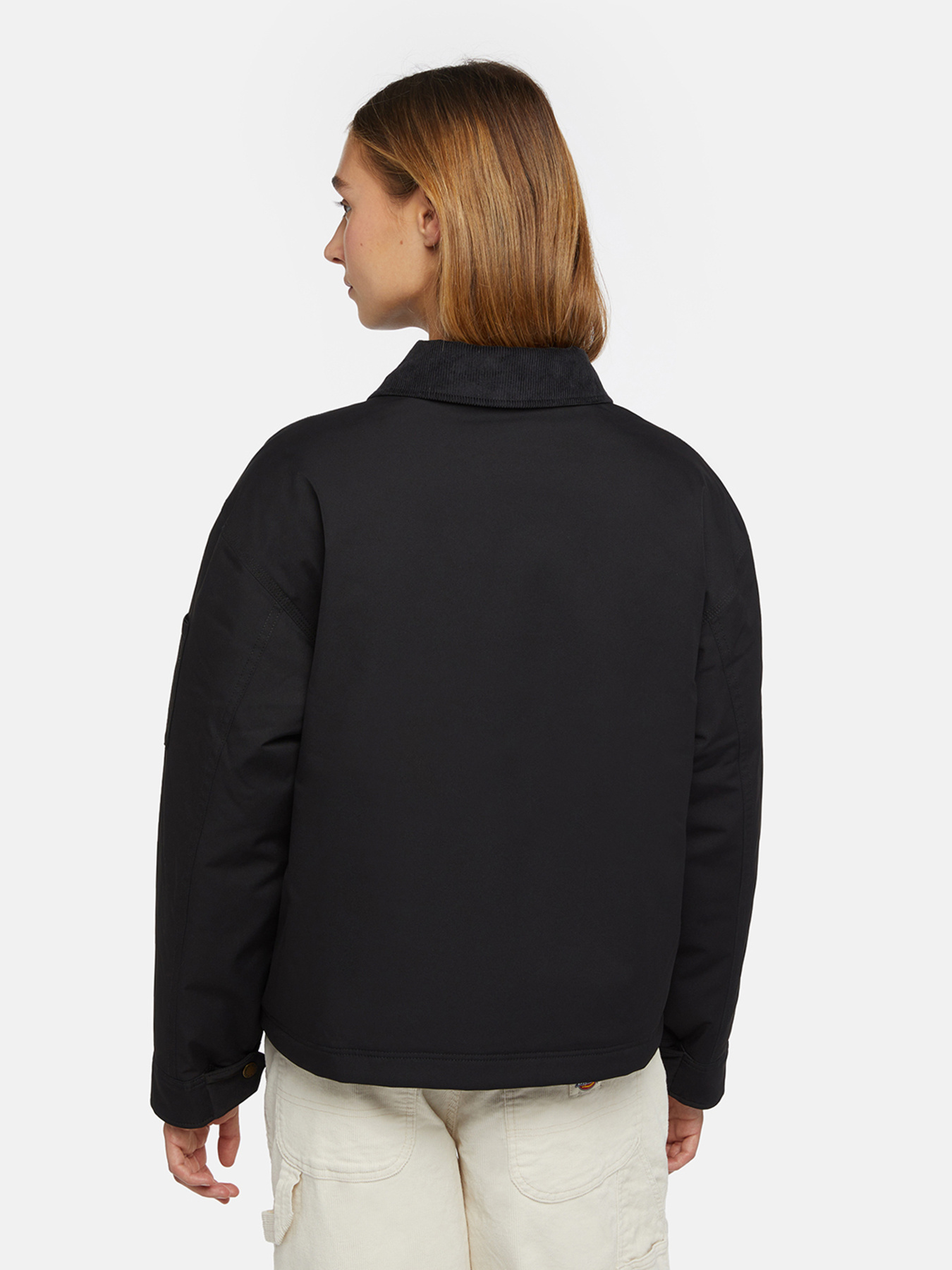 Демісезонна куртка Dickies Plains модель DK0A8643BLK1 Фото