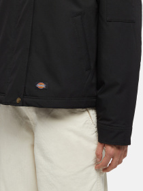 Демісезонна куртка Dickies Plains модель DK0A8643BLK1 Фото