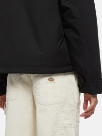 Демісезонна куртка Dickies Plains модель DK0A8643BLK1 Фото