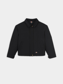 Демісезонна куртка Dickies Plains модель DK0A8643BLK1 Фото