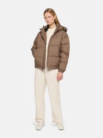 Зимова куртка Dickies Alatna Oversized модель DK0A4YJUMR11 Фото