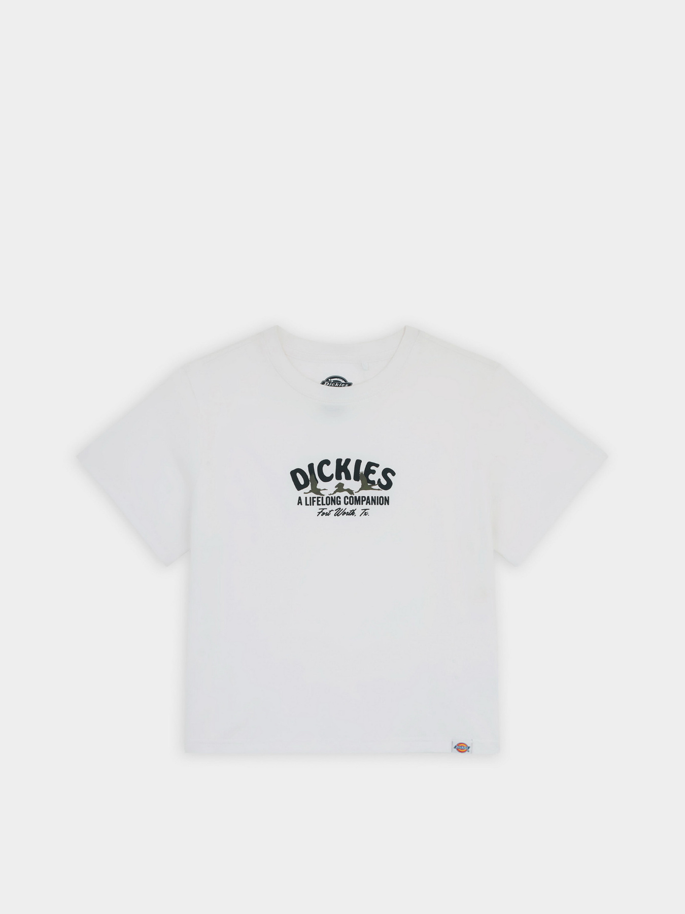 Футболка Dickies Companion модель DK0A863K0WH1 Футболка Dickies Companion модель DK0A863K0WH1 Фото