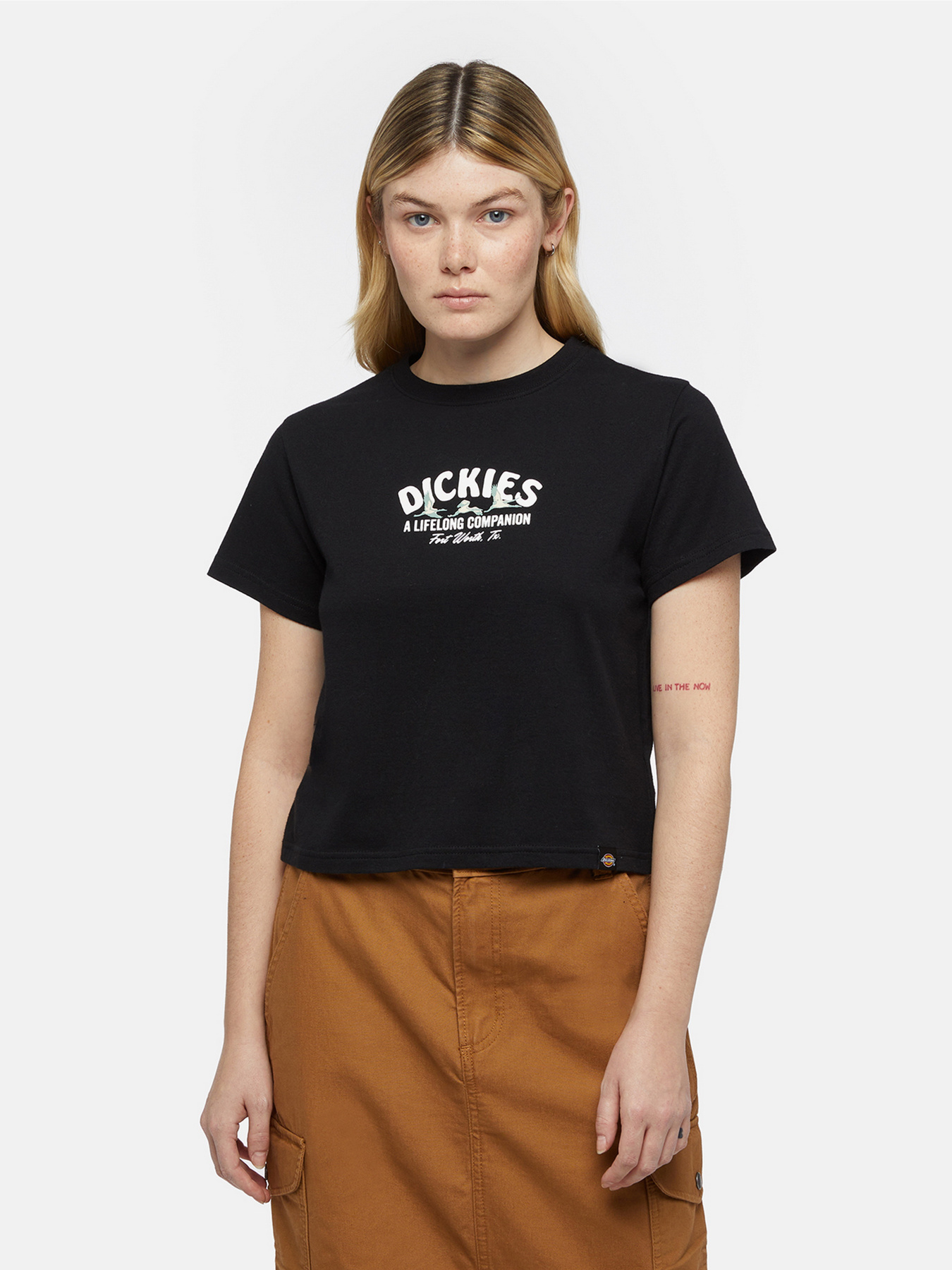 Футболка Dickies Companion модель DK0A863KBLK1 Фото