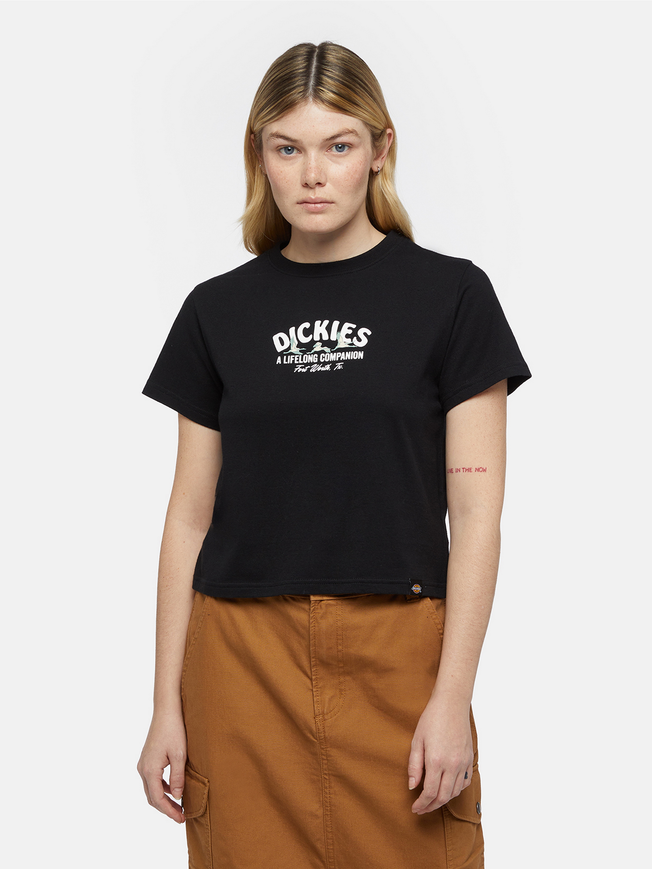Бавовняна Жіноча Футболка Dickies Companion (DIW213) колір чорний